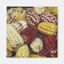 Search for maize Food