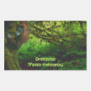 Search for save animals stickers Orangutans