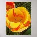 Search for spring design posters Floral