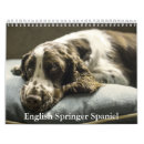 Search for spaniel calendars Puppy