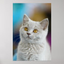 Search for british shorthair cat art Kitten