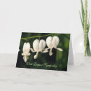 Search for condolences white flower cards Deepest