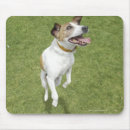 Search for terrier mousepads Playful