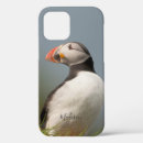 Search for puffin cases Animals