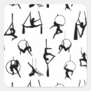 Search for silks stickers Aerial