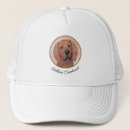 Search for coonhound hats Dog