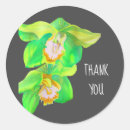 Search for watercolor orchid stickers Modern
