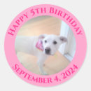 Search for dogs birthday stickers Girl