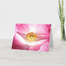 Search for mandala photography Flower