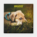 Search for friend dog magnets Cute