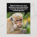 Search for bad monkey Funny