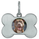 Search for pit pet supplies Dogs