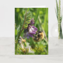 Search for bee birthday cards Butterfly