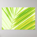 Search for green tree posters Leaves