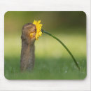 Search for rodent mousepads Animal lover