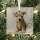 Search for glass christmas tree decorations Puppy