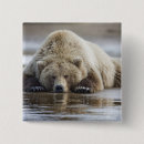 Search for ursus badges Usa