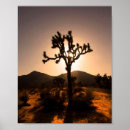 Search for nightfall posters Landscape