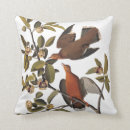 Search for audubon birds cushions John james audubon