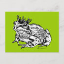 Search for frog drawing postcards Animal