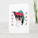 Search for chihuahua christmas cards Animals
