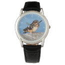 Search for barn watches Animal