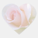 Search for pale pink rose stickers Photograph