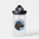 Search for black labrador water bottles Puppy