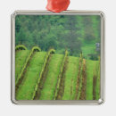 Search for people christmas tree decorations Green