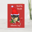 Search for rottweiler puppies cards Pets
