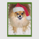 Search for bad santa cards Pomeranian