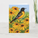 Search for oriole cards Maryland
