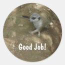 Search for meerkat stickers Africa