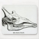 Search for skull head mousepads Bone
