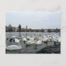 Search for prague postcards Bridges