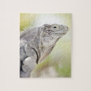 Search for reptile puzzles Scales