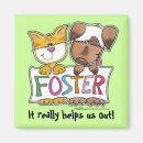 Search for foster homes magnets Rescue