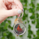 Search for cardinal key rings Birds
