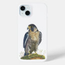 Search for falcons iphone cases Peregrine