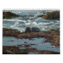 Search for wildlife photography calendars Butterfly