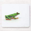 Search for tree frog mousepads Reptiles