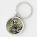 Search for lemurs key rings Nature