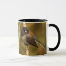 Search for junco mugs Sparrow
