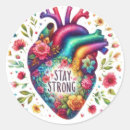 Search for anatomical stickers Colourful
