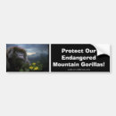 Search for endangered animals bumper stickers Gorillas