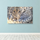 Search for wildlife canvas prints Cat
