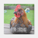 Search for marans Rooster