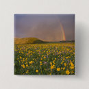 Search for meadows badges Nobody