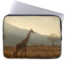 Search for tanzania electronics Giraffe