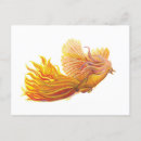 Search for phoenix rising postcards Bird